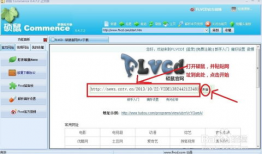 怎么下载网站上的视频,如何下载网站上的视频教程