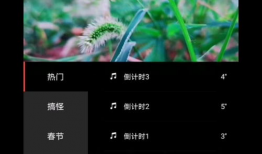 怎么制作短视频教程,轻松掌握短视频制作技巧